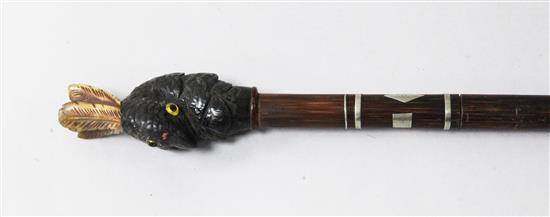 A horn parrot head walking cane